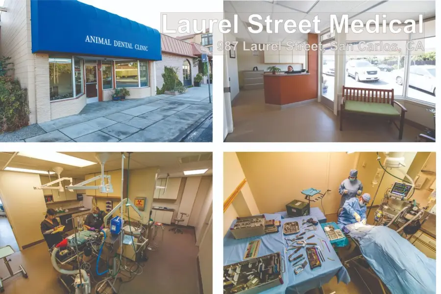 987 Laurel Street, San Carlos, CA 94070 - #2