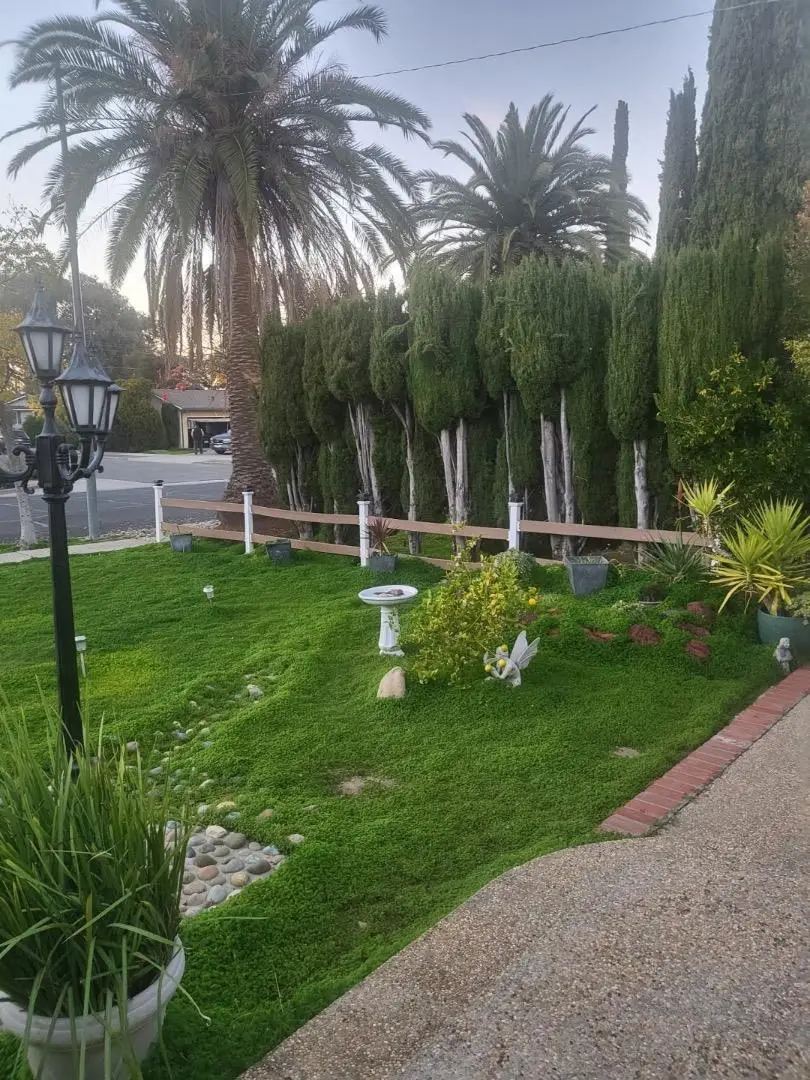 908 Marilyn Drive, Campbell, CA 95008 - Image #3