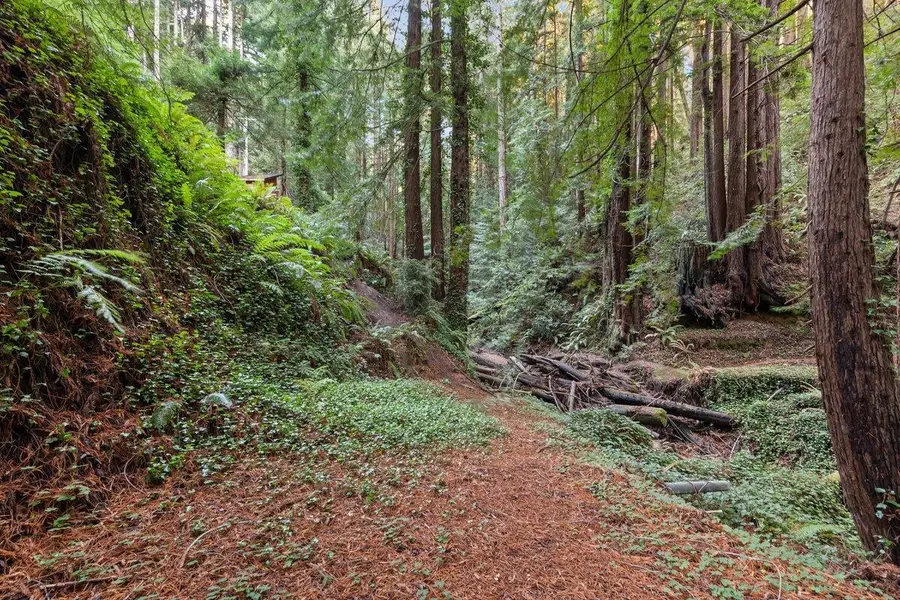 3946 Tunitas Creek Road, Half Moon Bay, CA 94019 - Image #2