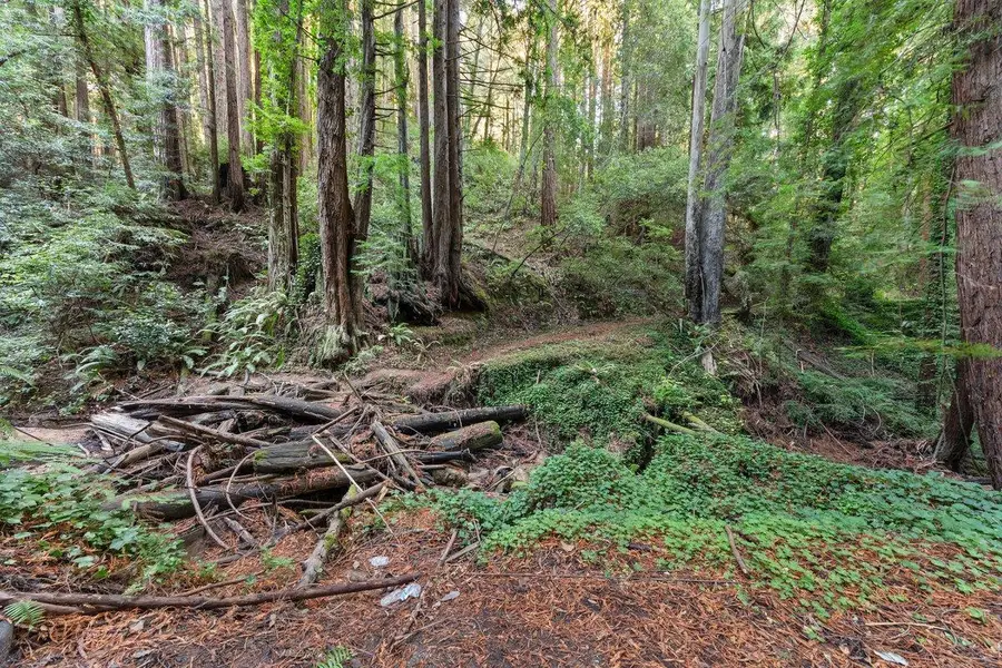 3946 Tunitas Creek Road, Half Moon Bay, CA 94019 - Image #3