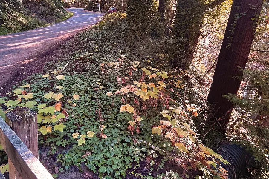 00 Riverside Road, Brookdale, CA 95007 - Image #3