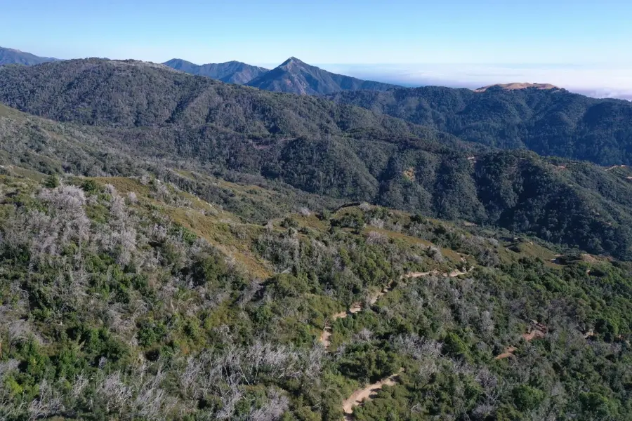 1 Twin Peaks Crest, Carmel, CA 93923 - #2