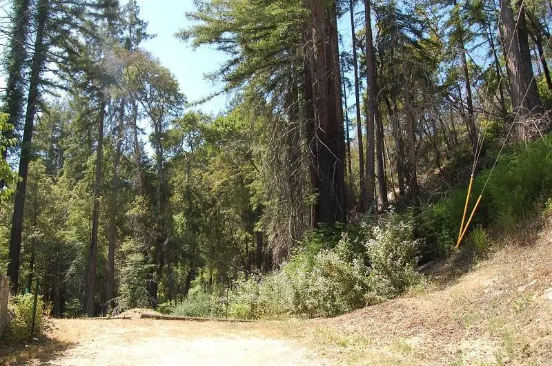 14965 Virginia Avenue, Boulder Creek, CA 95006 - Image #3