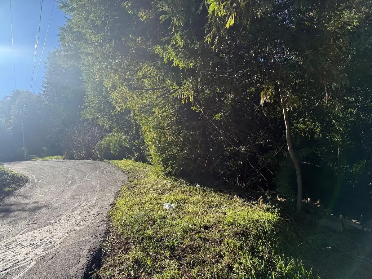 20525 Iron Springs Road, Los Gatos, CA 95033 - Image #1