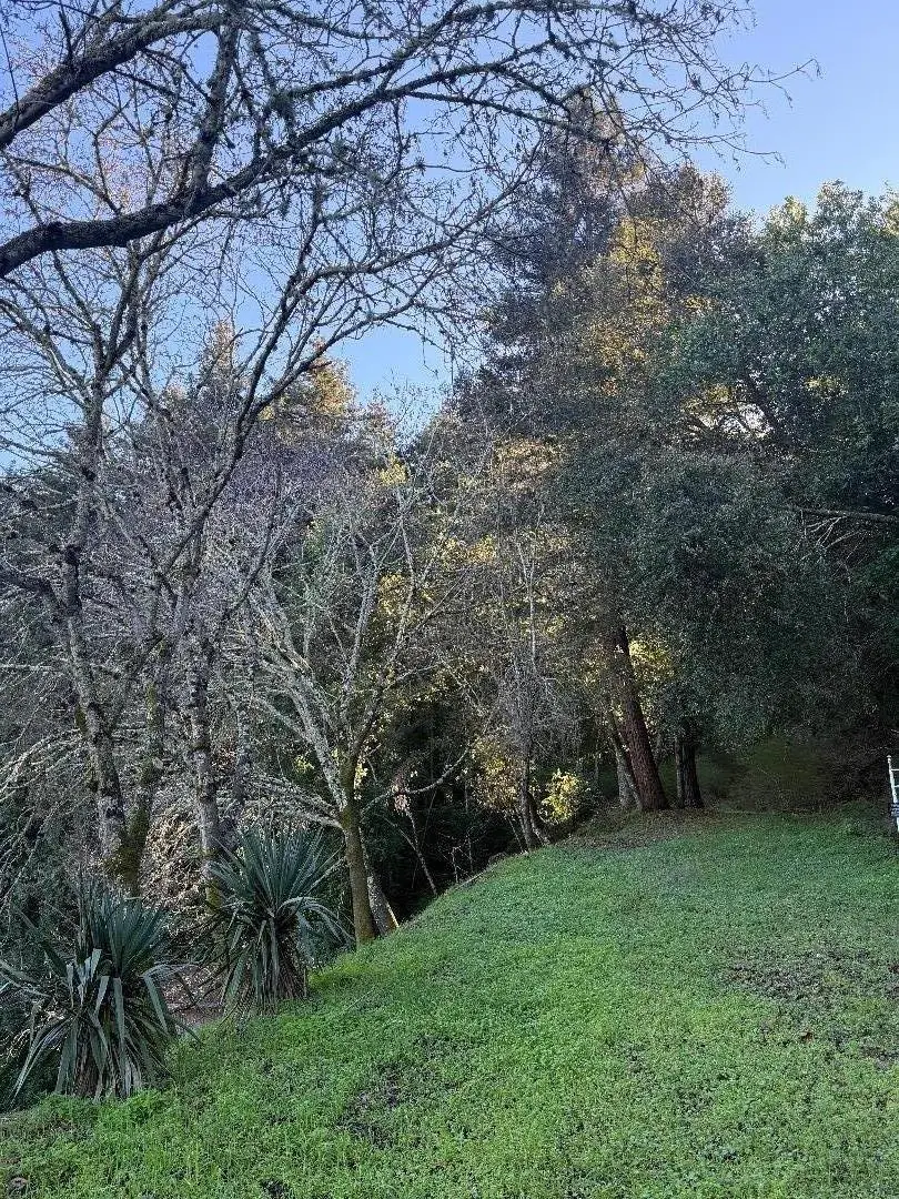 20525 Iron Springs Road, Los Gatos, CA 95033 - Image #2