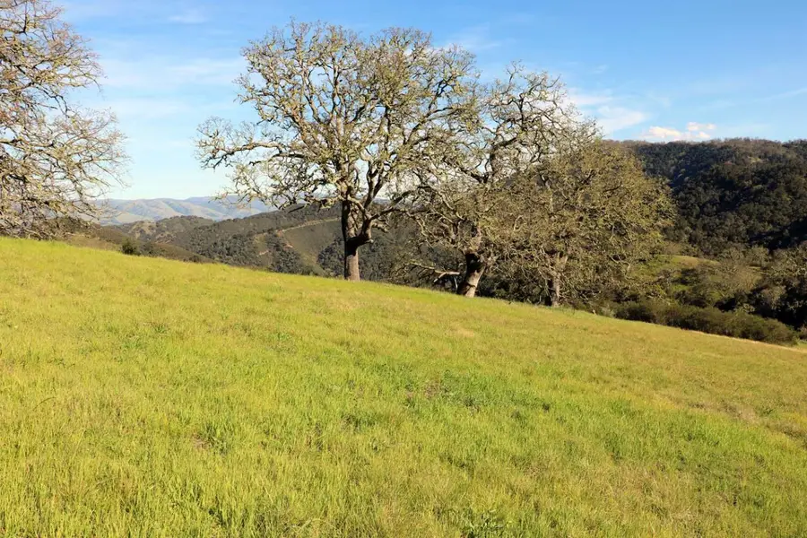 5 Black Mountain (lot 247) Trail, Carmel, CA 93923 - Image #3