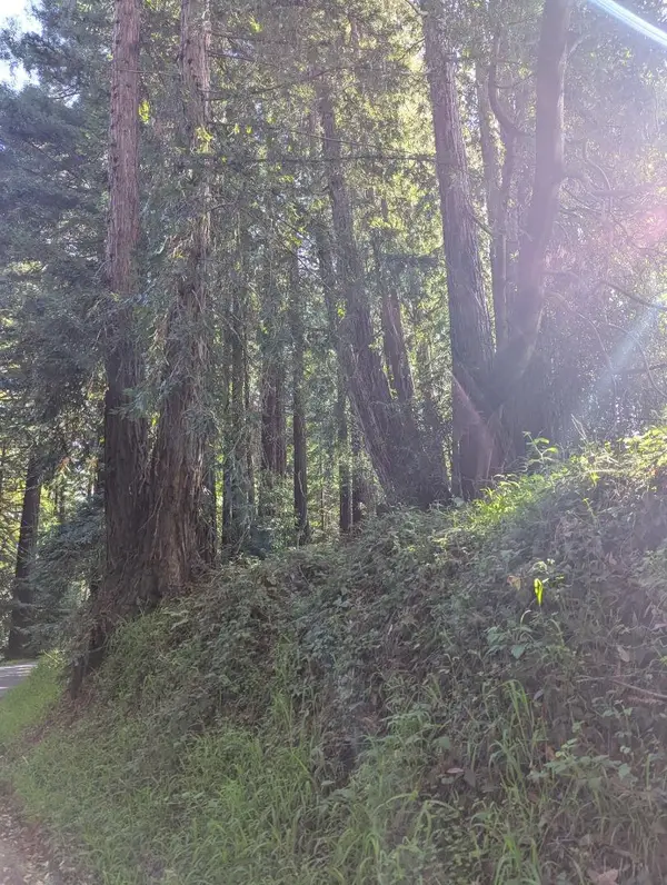 8055 Glen Haven Road, Soquel, CA 95073