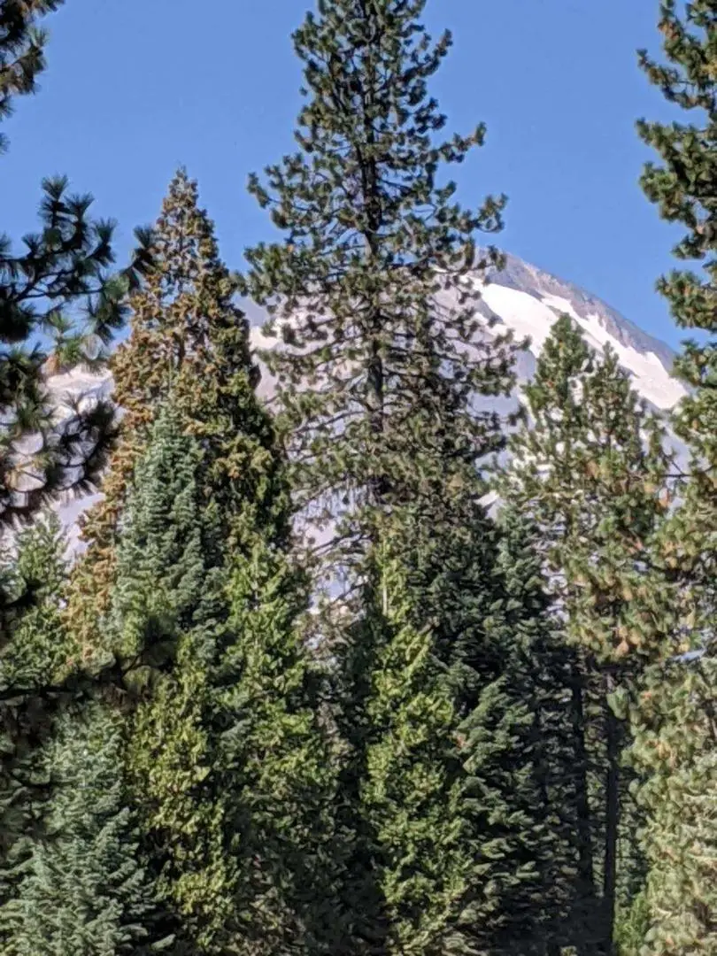 21 Ridge Drive, McCloud, CA 96057 - Image #1