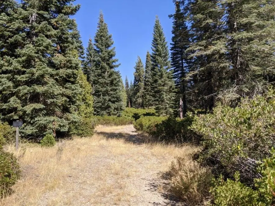 21 Ridge Drive, McCloud, CA 96057 - Image #2