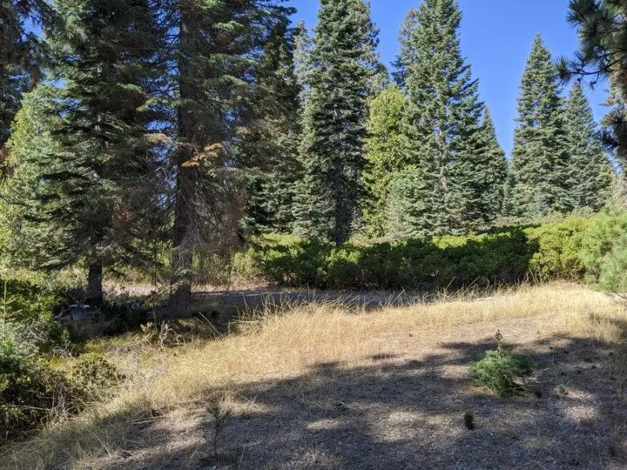 21 Ridge Drive, McCloud, CA 96057 - Image #3