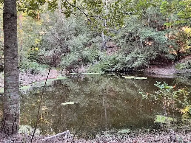 00 Love Creek, Ben Lomond, CA 95005 - Image #1