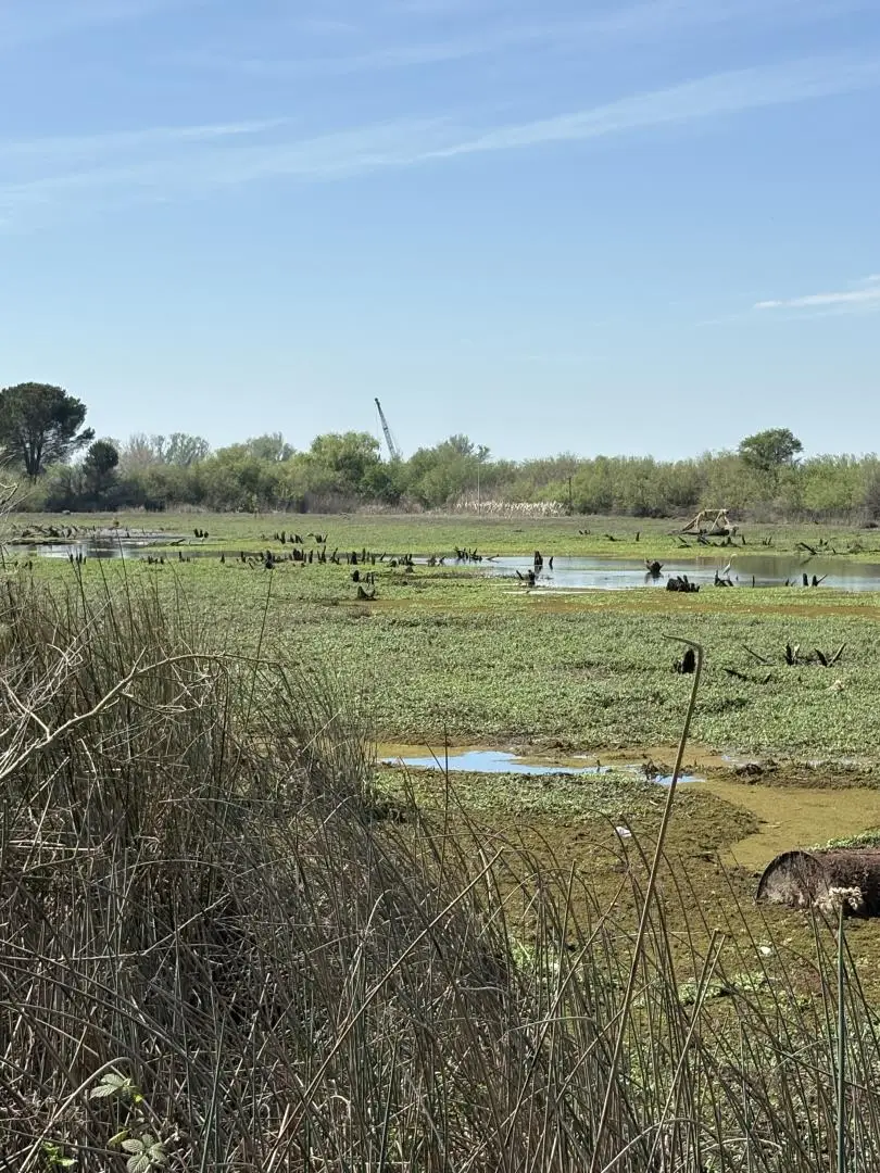 0 Halls Island, Walnut Grove, CA 95690 - #3