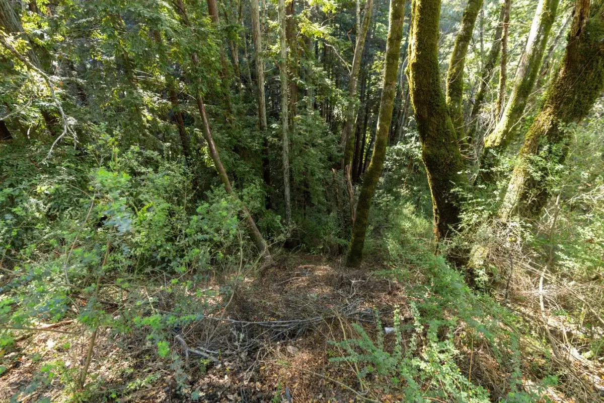 43 and 44 Buckeye Street, Felton, CA 95018 - #1