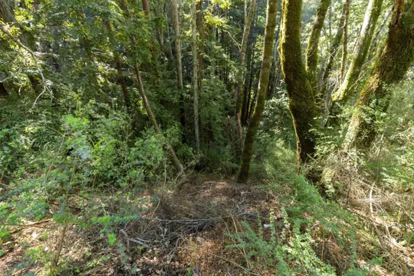 43 and 44 Buckeye Street, Felton, CA 95018