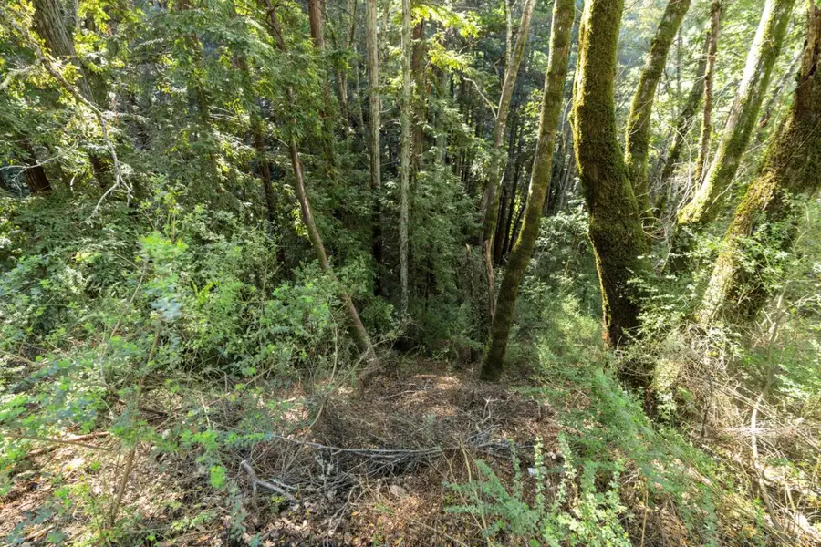 43 and 44 Buckeye Street, Felton, CA 95018 - #2