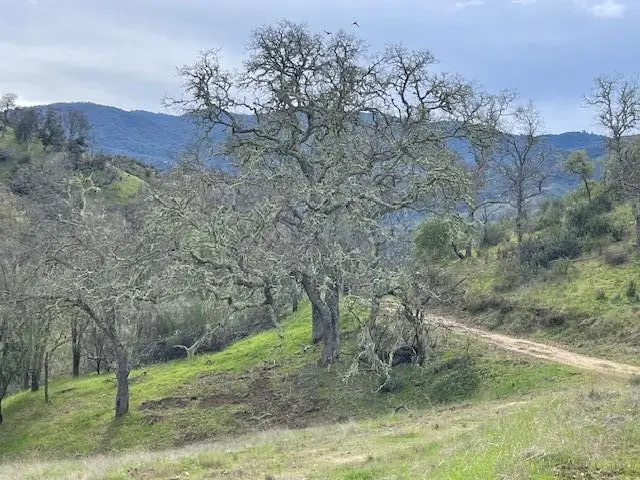 0 Cachagua Road, Carmel Valley, CA 93924 - #3