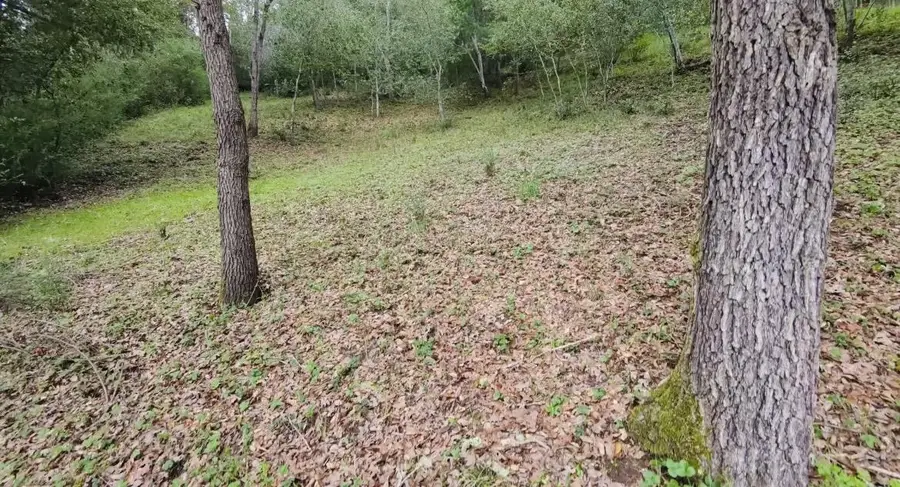 15971 Forest Hill Drive, Boulder Creek, CA 95006 - #3