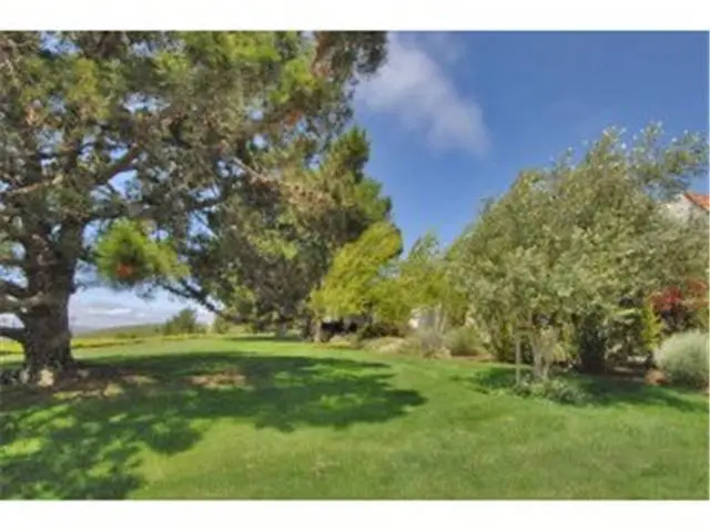 1 Rinconada Circle, Belmont, CA 94002 - #3