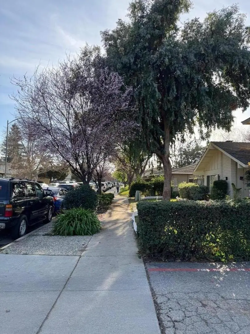 1757 De Marietta Avenue, San Jose, CA 95126 - #3