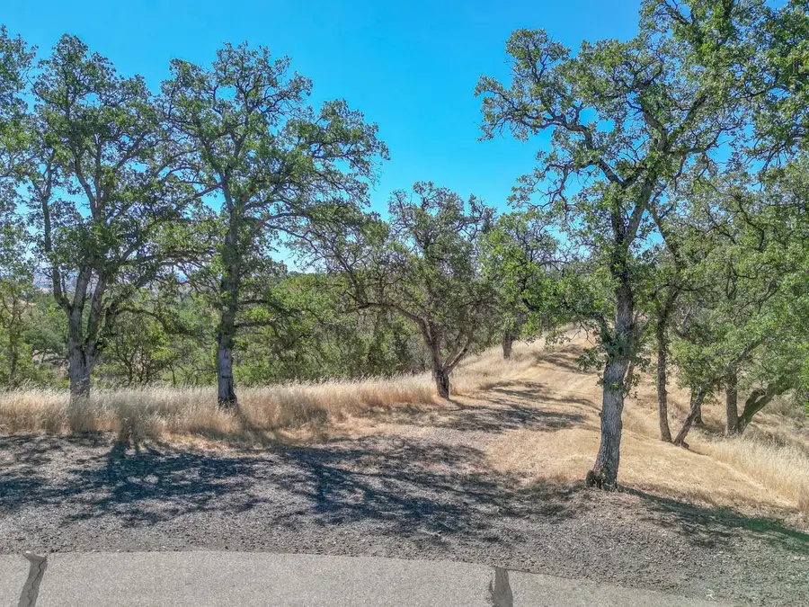 0 Wood Duck Pass Road, Red Bluff, CA 96080 - #3