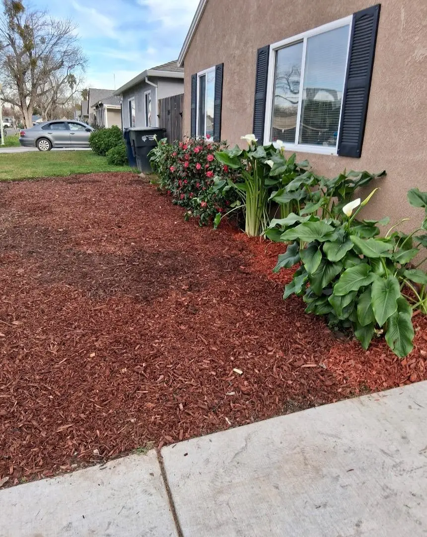 7330 25th Avenue, Sacramento, CA 95820 - #3