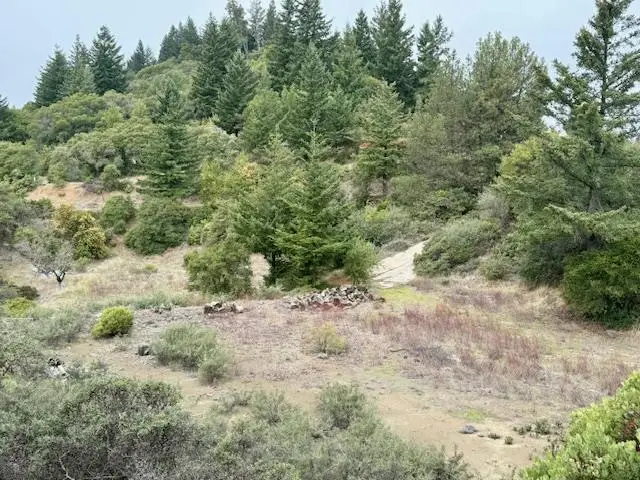 105 Silverline Road, Los Gatos, CA 95033 - #2