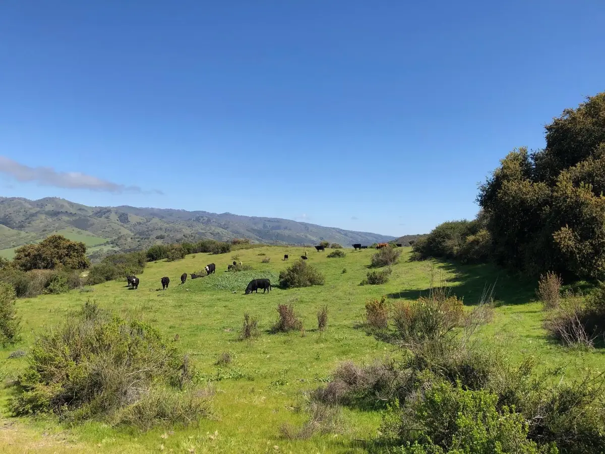 Indian Creek Ranch, 36000 Carmel Valley Road, Carmel Valley, CA 93924 - #1