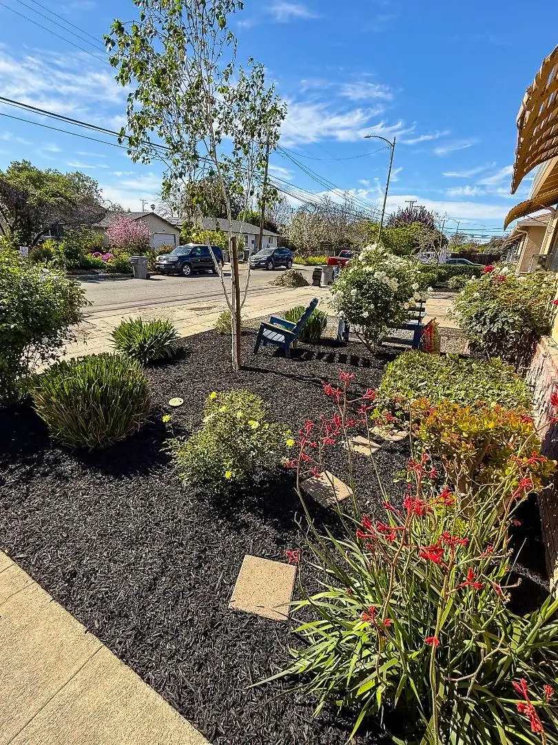 820 N 16th Street, San Jose, CA 95112 - #3