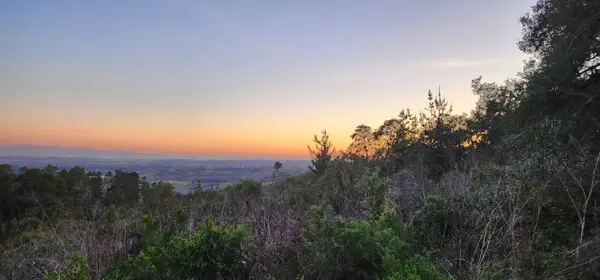 Address Withheld By Seller, Watsonville, CA 95076