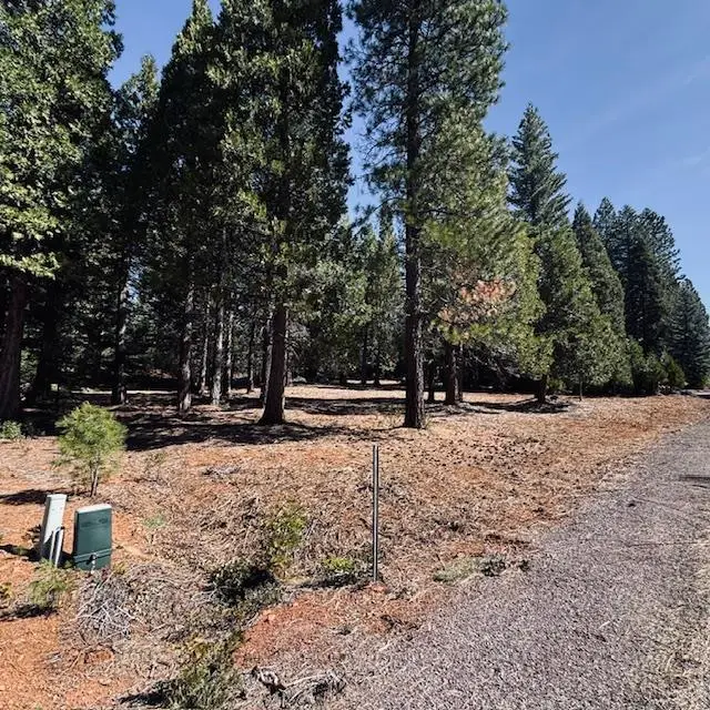 806 Red River Drive, Lake Almanor Peninsula, CA 96137 - #1