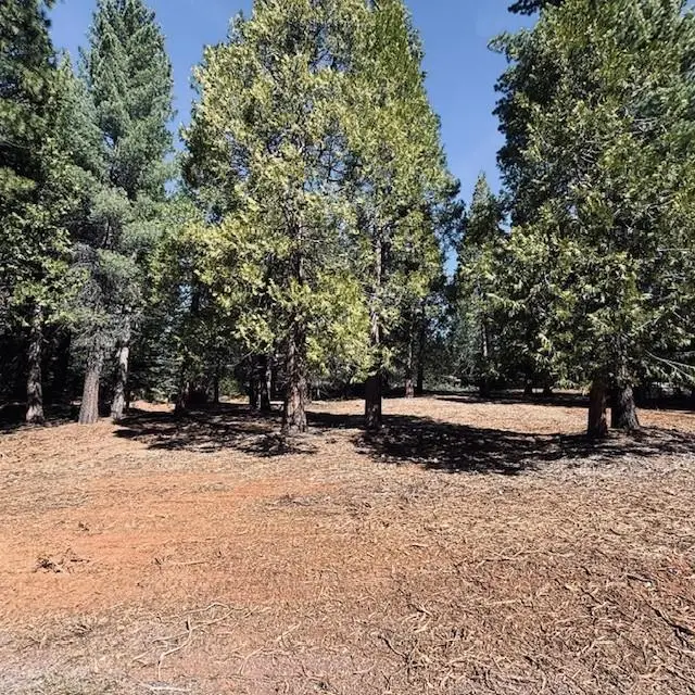 806 Red River Drive, Lake Almanor Peninsula, CA 96137 - #2