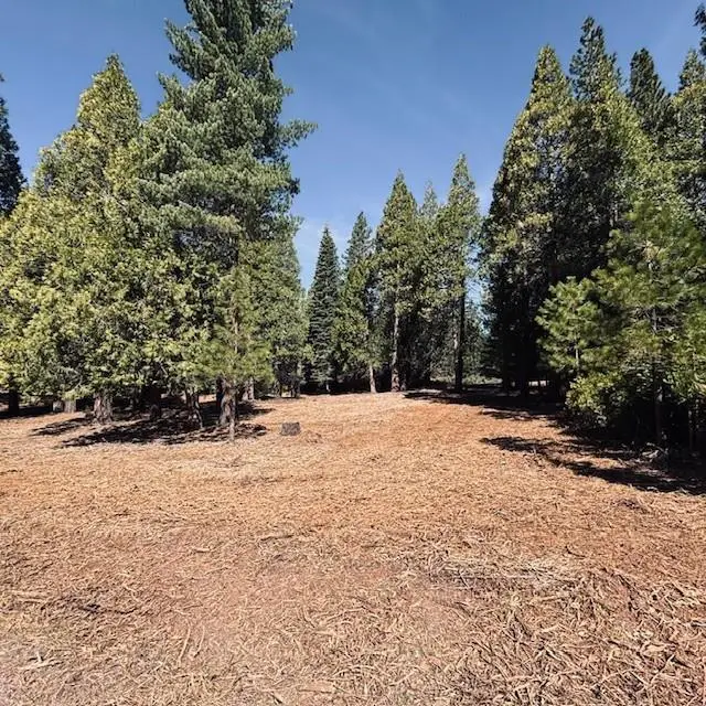 790 Red River Drive, Lake Almanor Peninsula, CA 96137 - #1