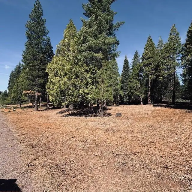 790 Red River Drive, Lake Almanor Peninsula, CA 96137 - #2