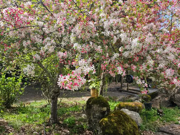 5601 Freedom Boulevard, Aptos, CA 95003