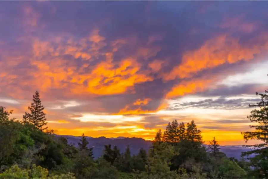 Lot 58 Skyview Ridge Road, Boulder Creek, CA 95006 - #2