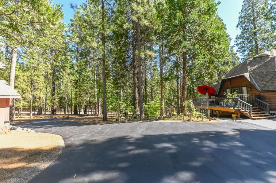 20175 Pine Drive, Pioneer, CA 95666 - #3