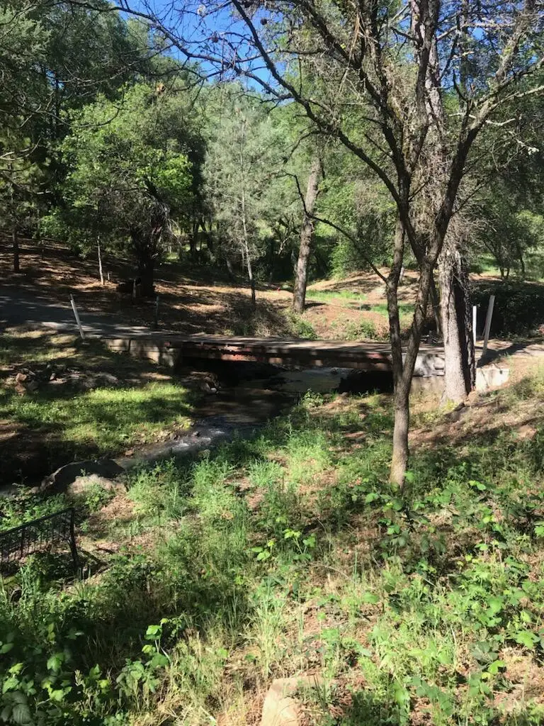 10255 Turkey Trot Place, Grass Valley, CA 95949 - #2