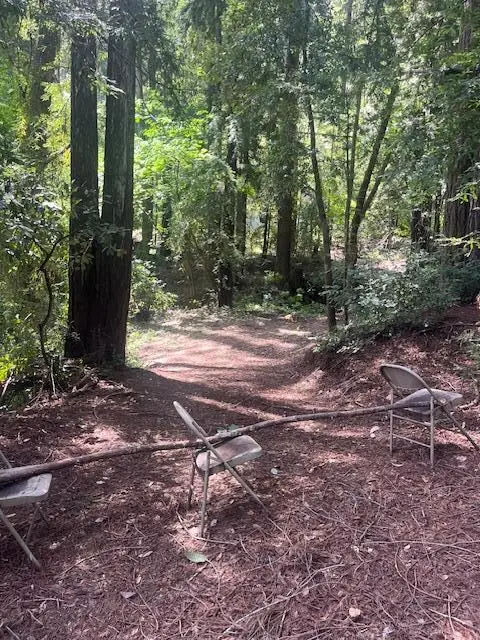 Address Withheld By Seller, Boulder Creek, CA 95006 - #3