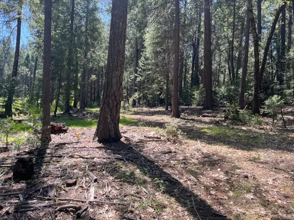 Address Withheld By Seller, Nevada City, CA 95959