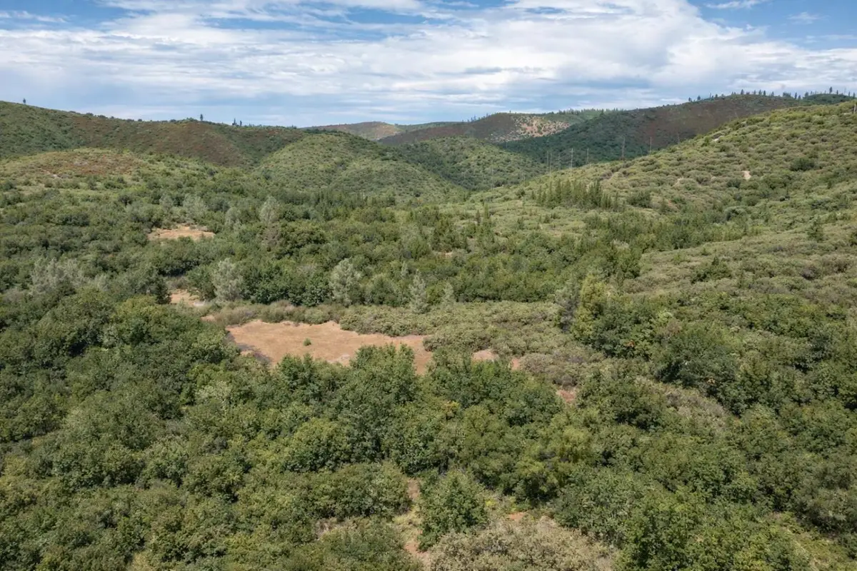 5622 Del Sol Lane, San Andreas, CA 95249 - #1