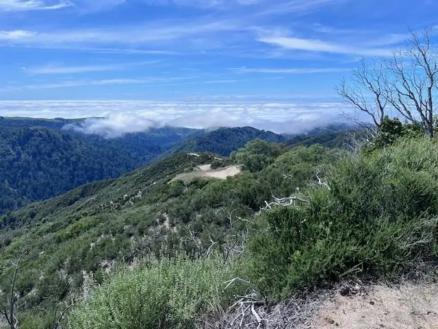 10 Long Ridge, Palo Colorado Road, Carmel, CA 93923 - #1