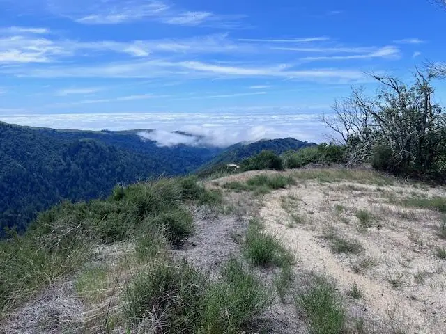 10 Long Ridge, Palo Colorado Road, Carmel, CA 93923 - #2