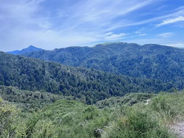 10 Long Ridge, Palo Colorado Road, Carmel, CA 93923 - #3