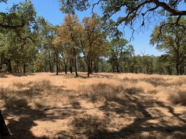 0 Bridle Trail, Pilot Hill, CA 95664 - #3