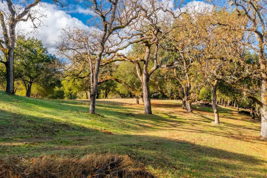 36 Arroyo Sequoia (lot 117), Carmel, CA 93923 - #3