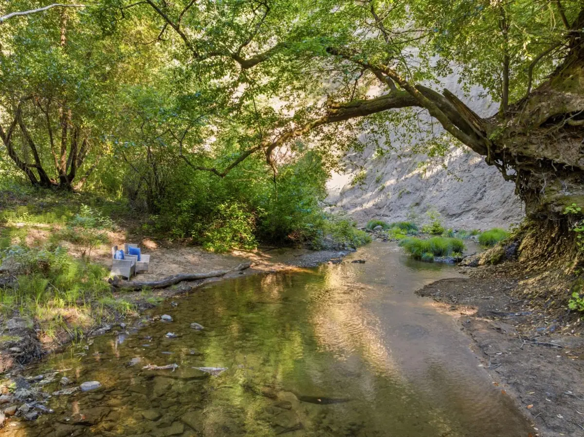 15740 Forest Hill Drive, Boulder Creek, CA 95006 - #1