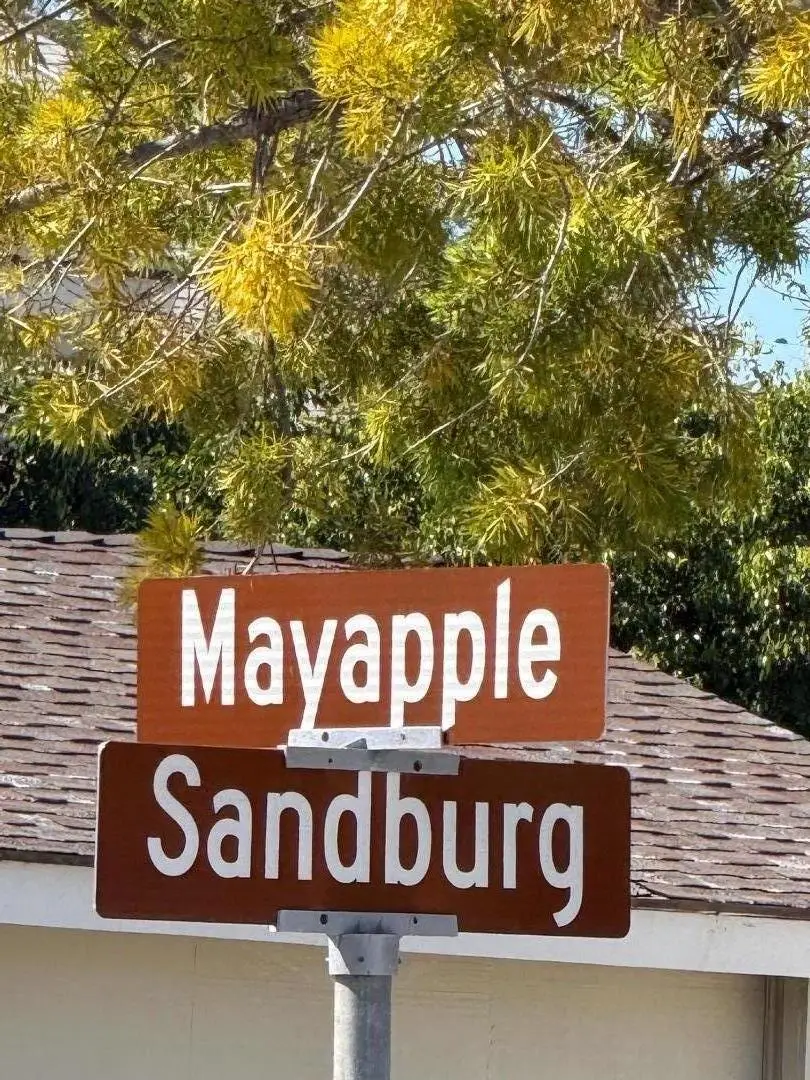2 Mayapple Way, Irvine, CA 92612 - #3