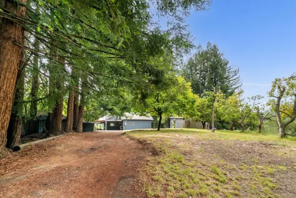 163 Buzzard Lagoon Road, Watsonville, CA 95076