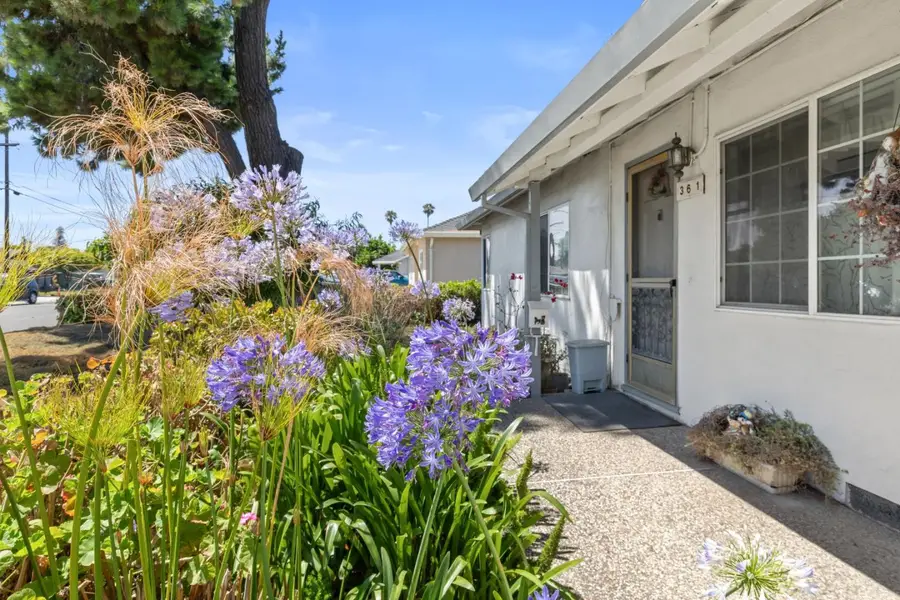 361 Fenley Avenue, San Jose, CA 95117 - #2