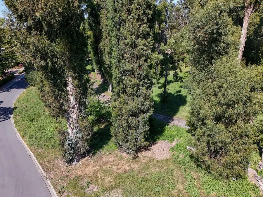 25 Fagan Drive, Hillsborough, CA 94010 - #3